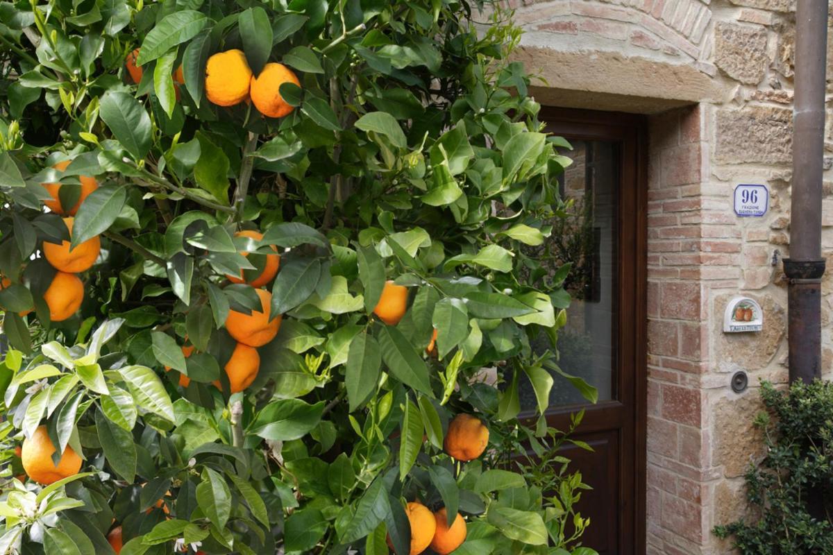 Il Lebbio Agriresort Montaione Exterior foto